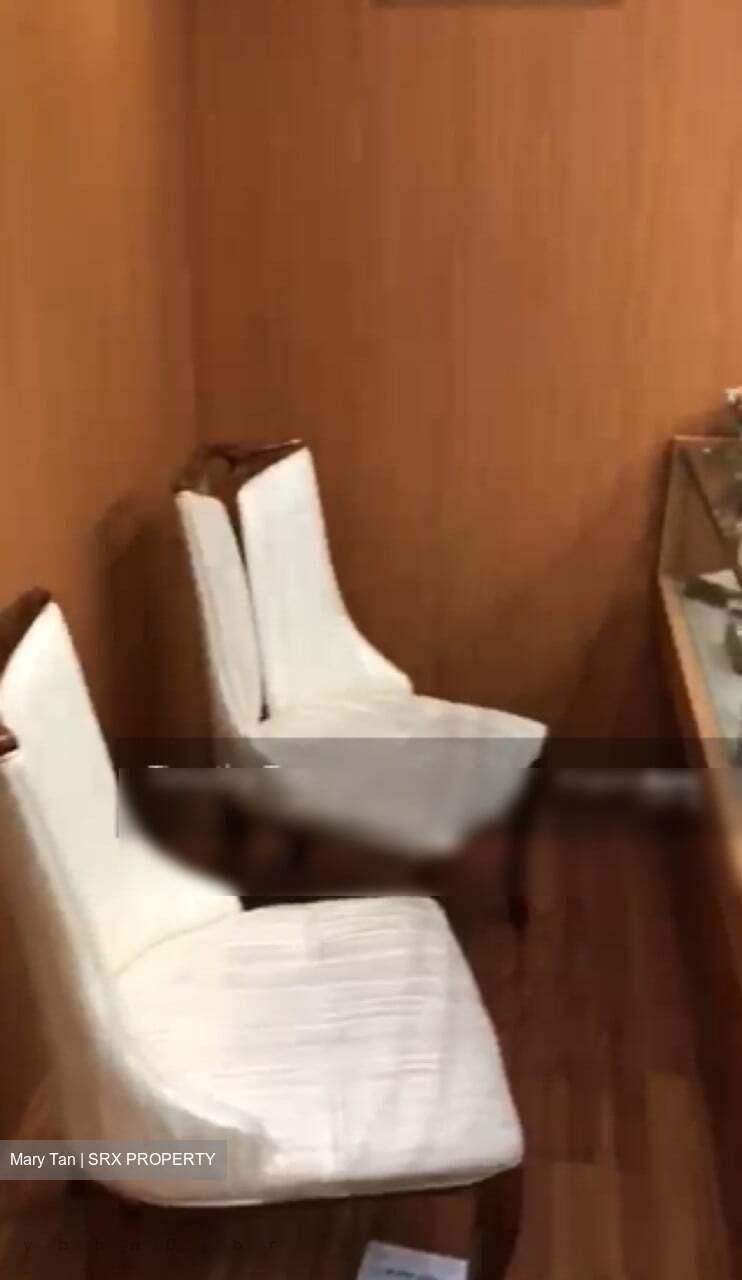 Lucky Plaza (D9), Shop House #338449141